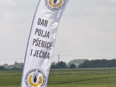 Poljoprivredni Institut Osijek, Dan polja pšenice i ječma, 5. 6. 2019.