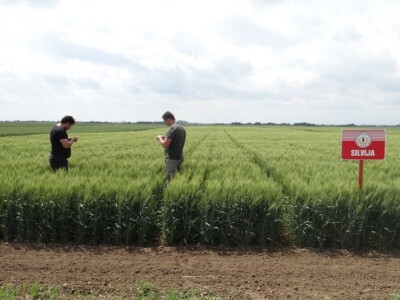 Poljoprivredni Institut Osijek, Dan polja pšenice i ječma, 5. 6. 2019.