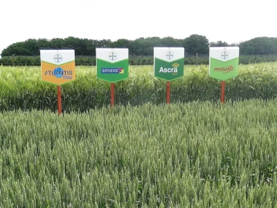 Poljoprivredni Institut Osijek, Dan polja pšenice i ječma, 5. 6. 2019.
