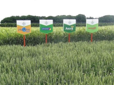 Poljoprivredni Institut Osijek, Dan polja pšenice i ječma, 5. 6. 2019.