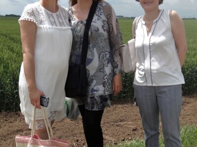 Poljoprivredni Institut Osijek, Dan polja pšenice i ječma, 5. 6. 2019.