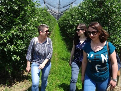 Poljoprivredni Institut Osijek Voćni rasadnik: Dani otvorenih vrata!