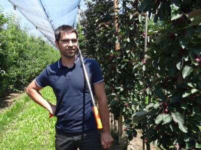 Poljoprivredni Institut Osijek Voćni rasadnik: Dani otvorenih vrata!