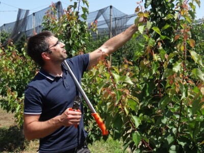 Poljoprivredni Institut Osijek Voćni rasadnik: Dani otvorenih vrata!