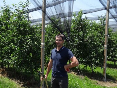 Poljoprivredni Institut Osijek Voćni rasadnik: Dani otvorenih vrata!