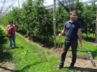 Poljoprivredni Institut Osijek Voćni rasadnik: Dani otvorenih vrata!