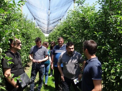 Poljoprivredni Institut Osijek Voćni rasadnik: Dani otvorenih vrata!