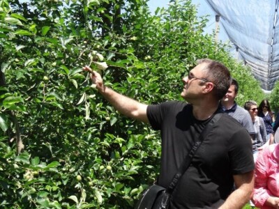 Poljoprivredni Institut Osijek Voćni rasadnik: Dani otvorenih vrata!