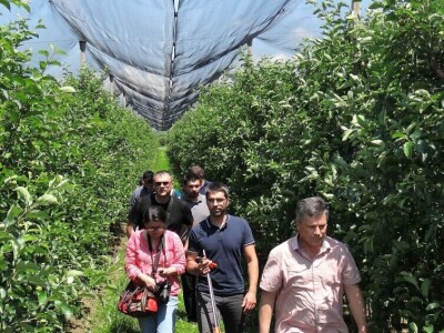 Poljoprivredni Institut Osijek Voćni rasadnik: Dani otvorenih vrata!