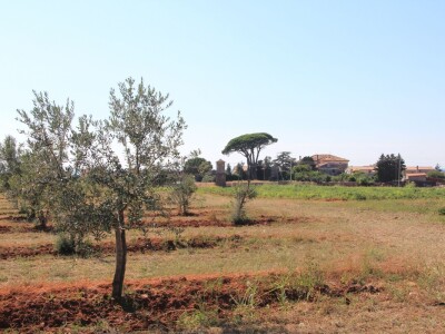 Poljoprivredni obrt Čeko