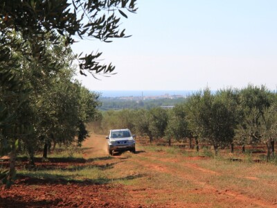 Poljoprivredni obrt Čeko