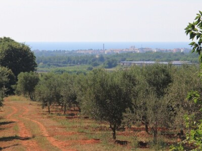 Poljoprivredni obrt Čeko
