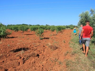 Poljoprivredni obrt Čeko