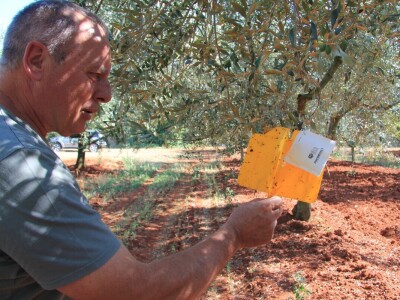 Poljoprivredni obrt Čeko