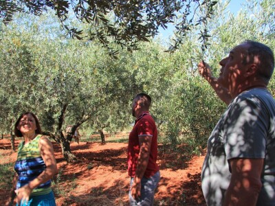 Poljoprivredni obrt Čeko