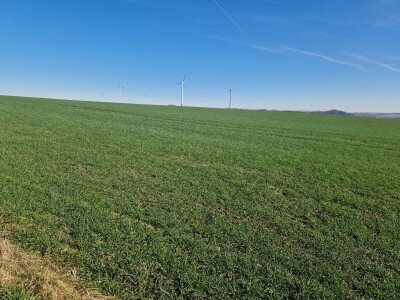 Poljoprivredni put susreta: Luksemburg