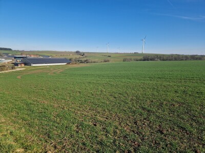 Poljoprivredni put susreta: Luksemburg