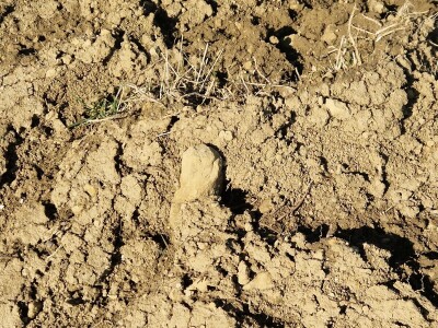 Poljoprivredni put susreta: Luksemburg