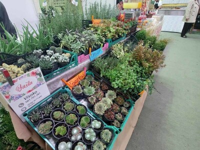 Poljoprivredni sajam "Jesen u Visokom"