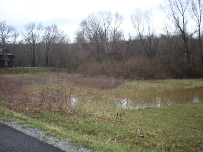 Poljoprivrednici pozivaju autore Studije da dođu u Voćin vidjeti na kakvim tlima rade Poljoprivrednici pozivaju autore Studije da dođu u Voćin vidjeti na kakvim tlima rade