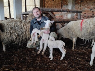 Poljoprivrednici pozivaju autore Studije da dođu u Voćin vidjeti na kakvim tlima rade Poljoprivrednici pozivaju autore Studije da dođu u Voćin vidjeti na kakvim tlima rade