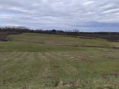 Poljoprivrednici pozivaju autore Studije da dođu u Voćin vidjeti na kakvim tlima rade Poljoprivrednici pozivaju autore Studije da dođu u Voćin vidjeti na kakvim tlima rade