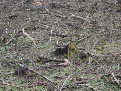Poljoprivrednici pozivaju autore Studije da dođu u Voćin vidjeti na kakvim tlima rade Poljoprivrednici pozivaju autore Studije da dođu u Voćin vidjeti na kakvim tlima rade