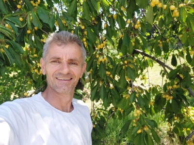 Poljoprivrednici rade po najvećim vrućinama, Fedahija Hrnjić