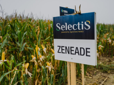 Poljoprivrednici sve više siju SelectiS hibride kukuruza