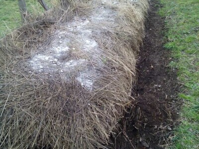 Poljoprivredno gazdinstvo „Aronija- Popović“ iz Banjaluke Poljoprivredno gazdinstvo „Aronija- Popović“ iz Banjaluke