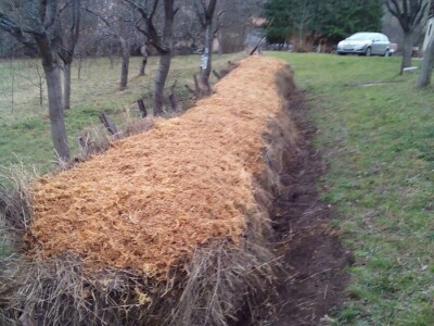 Poljoprivredno gazdinstvo „Aronija- Popović“ iz Banjaluke Poljoprivredno gazdinstvo „Aronija- Popović“ iz Banjaluke