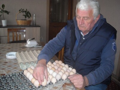 Poljoprivredno gazdinstvo Danila Brkića iz Kusatka gaji kokoške kombinovanih proizvodnih sposobnosti