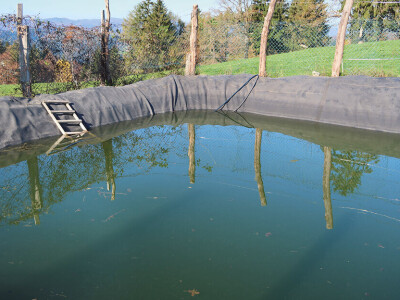 Poljoprivredno gospodarstvo Andolšek iz Velikih Poljana kod Ortneka Poljoprivredno gospodarstvo Andolšek iz Velikih Poljana kod Ortneka