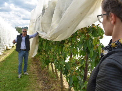 Poljoprivredno-prehrambena škola Požega