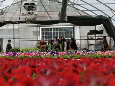 Poljoprivredno-prehrambena škola Požega