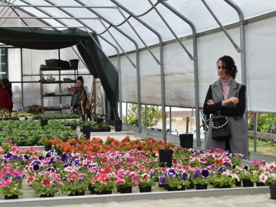 Poljoprivredno-prehrambena škola Požega