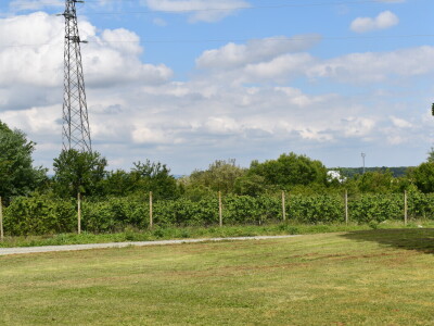 Poljoprivredno-prehrambena škola Požega
