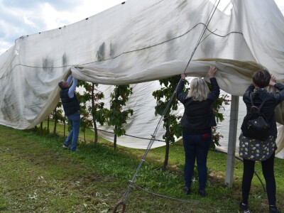 Poljoprivredno-prehrambena škola Požega