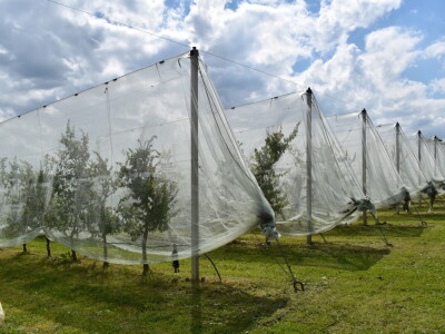 Poljoprivredno-prehrambena škola Požega