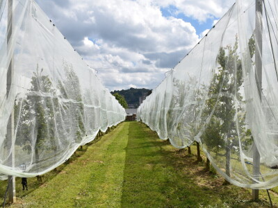 Poljoprivredno-prehrambena škola Požega
