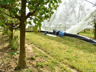 Poljoprivredno-prehrambena škola Požega