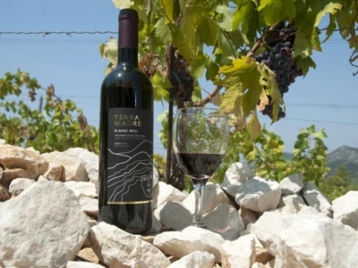 Poljoprometovo vino