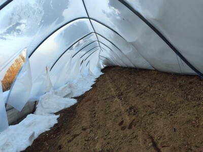 polomljeni plastenici