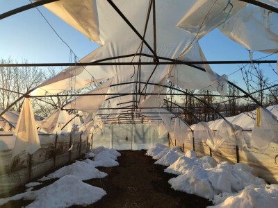 polomljeni plastenici