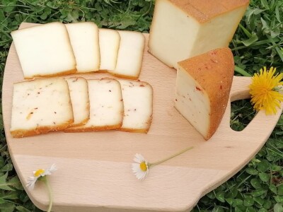 Polutvrdi sir Tadić