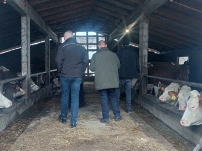 Pomoć mljekara TK za Jusufa Muranovića