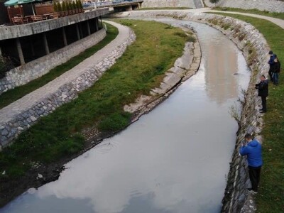 Pomor ribe u Đetinji