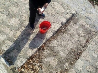 Pomor ribe u Đetinji