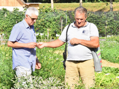 55. sajam AGRA, Gornja Radgona