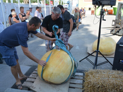 55. sajam AGRA, Gornja Radgona